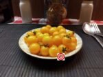 Yellow Pygmy Micro Dwarf Tomato