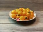 Yellow Pygmy Micro Dwarf Tomato - Image 4
