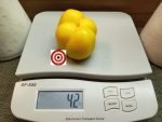 Yellow Stuffer Tomato Seeds