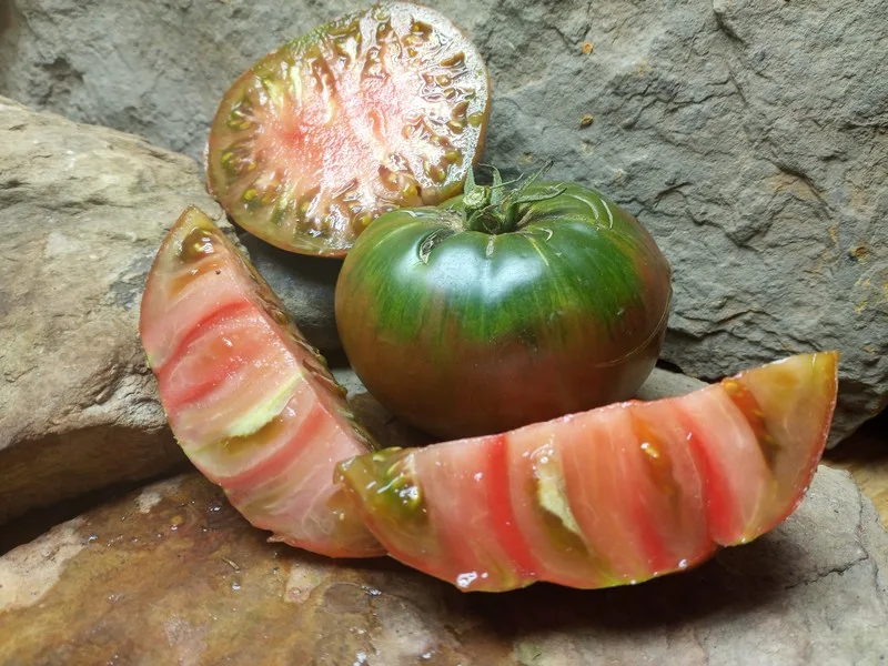 BOUNTY'S BEST BLACK TOMATOES