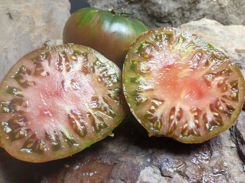 BOUNTY'S BEST TOMATO