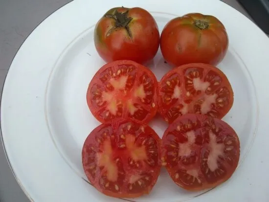 Opals Homestead Tomato