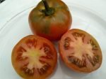 Polish Dwarf Tomato