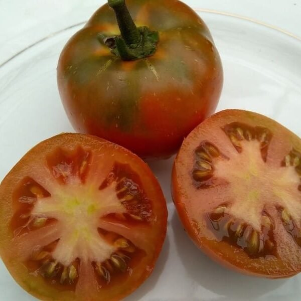 Polish Dwarf Tomato