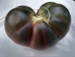 russian gypsy heirloom black tomato