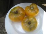 T.C. Jones Tomato - Image 7