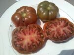 Turks Muts Tomato - Image 2