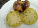 Wolverine Tomato - Image 8