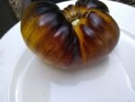 Wolverine Tomato - Image 5