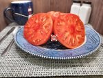 Monarch Buists Tomato Slicing Tomatoes