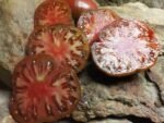 OWENS PURPLE BICOLORED TOMATOES