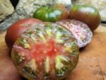 OWENS PURPLE TOMATOES BICOLORED BEEFSTEAKS