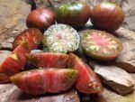 OWENS PURPLE TOMATOES BLACK