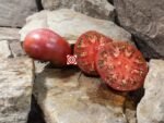 Owen's Purple Tomato..