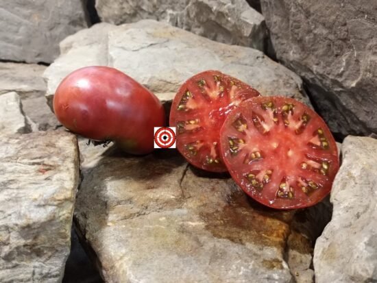 Owen's Purple Tomato