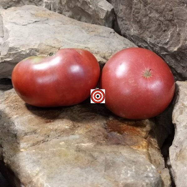 Owen's Purple Tomato Seeds..