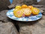 Pink Grapefruit Tomato
