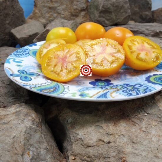 Pink Grapefruit Tomato