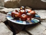 Pride of Flanders Tomato - Image 3