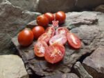 Prue Elongated Tomato