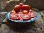 Prue Paste Tomato