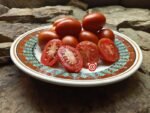 Prue Tomato