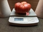R.W. Cephei Tomato