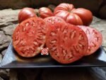 R.W. Cephei Tomato Seeds