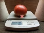 RW Cephei Large Tomato