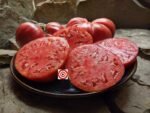 RW Cephei Tomato