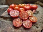 Red Smudge Tomato Beefsteak