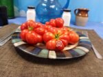 Reisetomate Tomato Red Tomatoes