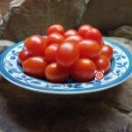 Reverend Michael Keyes Tomato