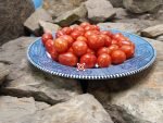 Rosalita Tomato
