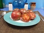 Russian Gypsy Tomato Heirloom Tomatoes