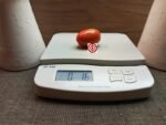 Sauce Tomato Prue