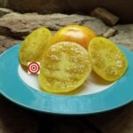 Sweet Sharon Striped Tomato