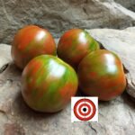 Val's Black Striped Tomato