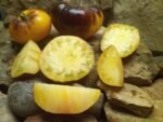 Wolverine Tomato - Image 2