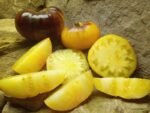 Wolverine Tomato - Image 4