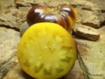 Wolverine Tomato - Image 3