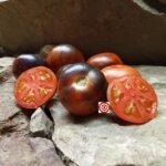 Wild Card Blues Tomato Seeds
