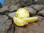 Wolverine Tomato