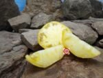 Wolverine Tomato - Image 12