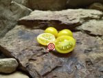 Yellow Fargo Tomato