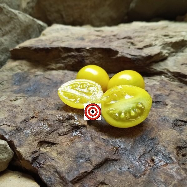 Yellow Fargo Tomato