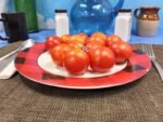 42 Day Tomato