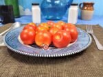 42 Day Tomato Seeds