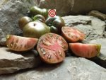 Blane Horton's The Thong Tomato