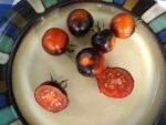 Blue Suede Shoes Tomato